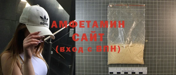 индика Киреевск