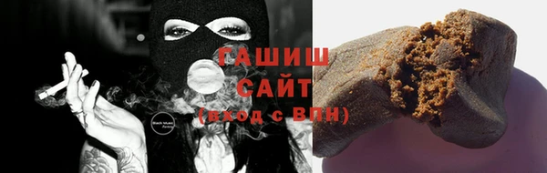 индика Киреевск