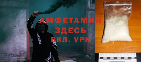 индика Киреевск