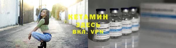 индика Киреевск