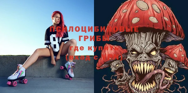 молекула духа Пролетарск
