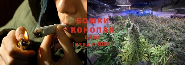 спайс Фёдоровский