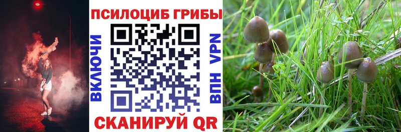 Галлюциногенные грибы MAGIC MUSHROOMS Киселёвск