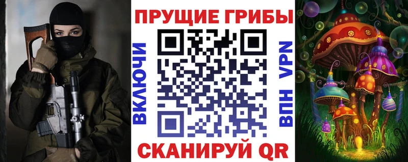 omg рабочий сайт  Киселёвск  Псилоцибиновые грибы ЛСД 